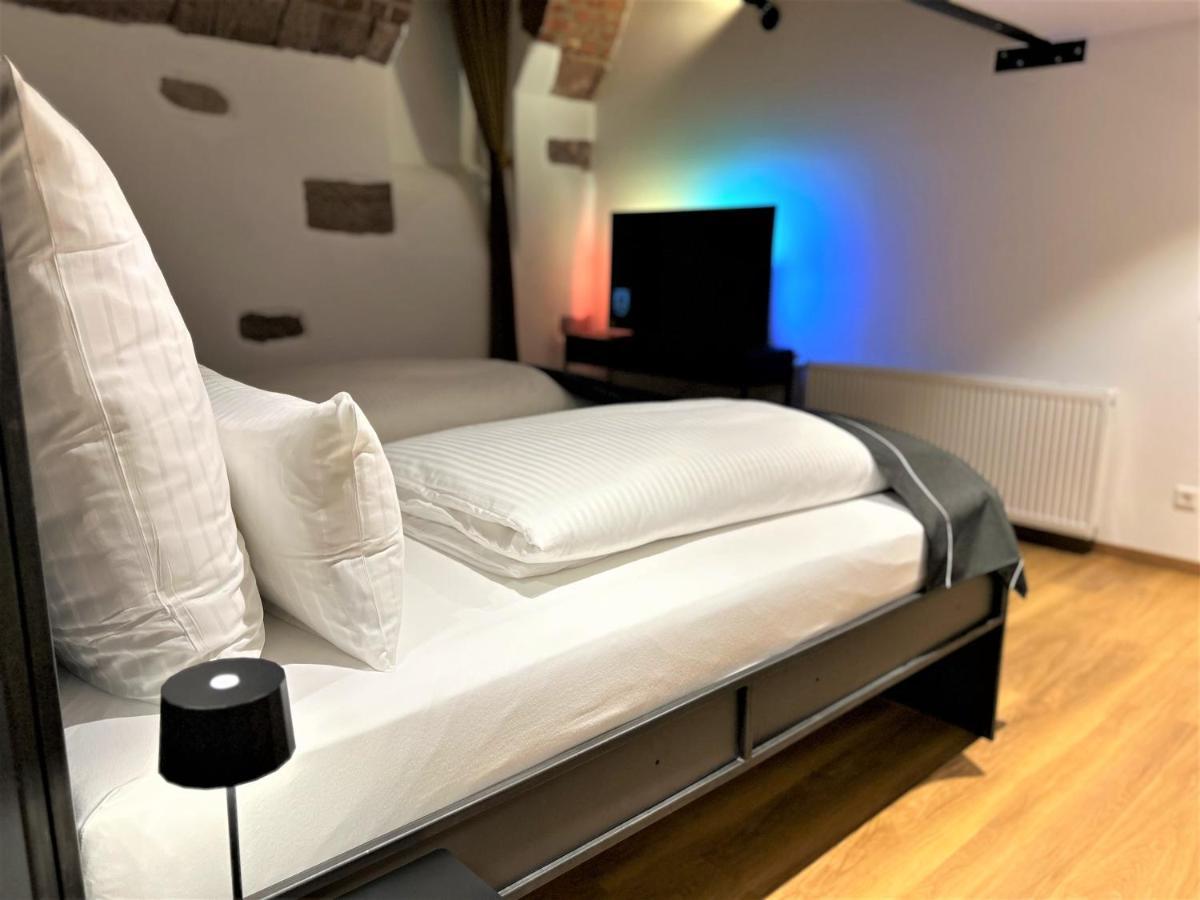 Historical Luxury Homes - Luxus Familien Suite Freiburg im Breisgau Ngoại thất bức ảnh