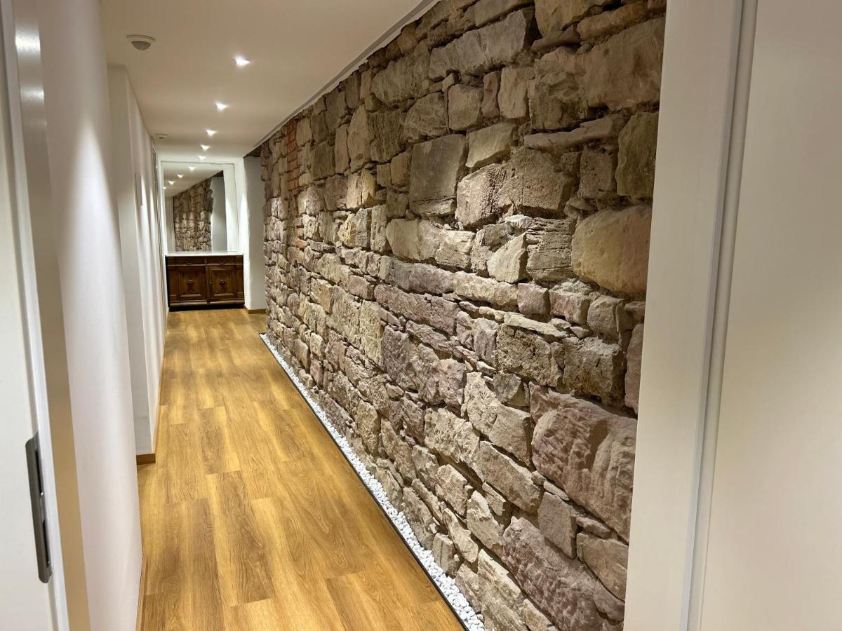 Historical Luxury Homes - Luxus Familien Suite Freiburg im Breisgau Ngoại thất bức ảnh