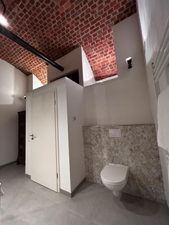Historical Luxury Homes - Luxus Familien Suite Freiburg im Breisgau Ngoại thất bức ảnh
