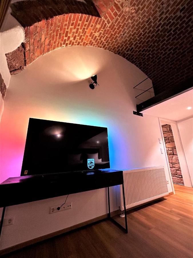 Historical Luxury Homes - Luxus Familien Suite Freiburg im Breisgau Ngoại thất bức ảnh