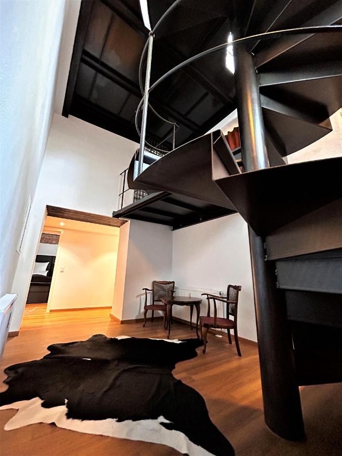 Historical Luxury Homes - Luxus Familien Suite Freiburg im Breisgau Ngoại thất bức ảnh